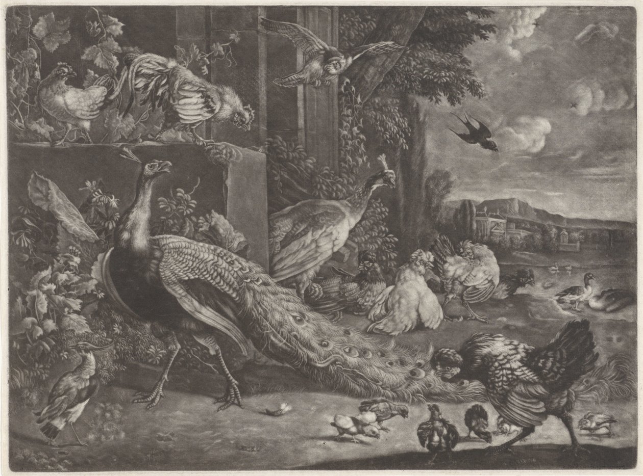 Paysage avec oiseaux - Anonymous