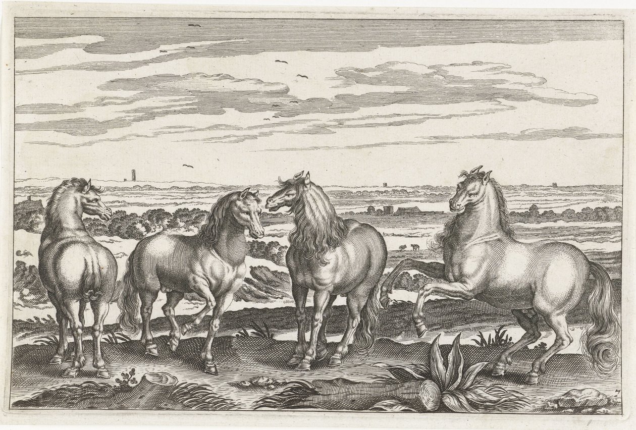 Chevaux - Anonymous
