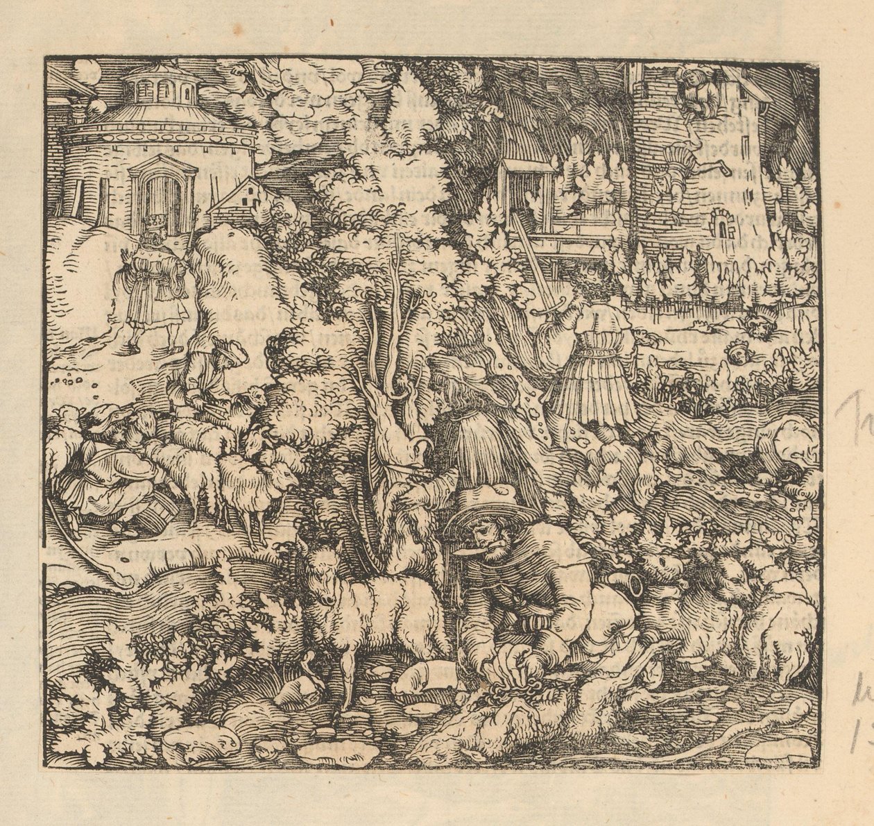 Tondre, traire et abattre des moutons - Anonymous