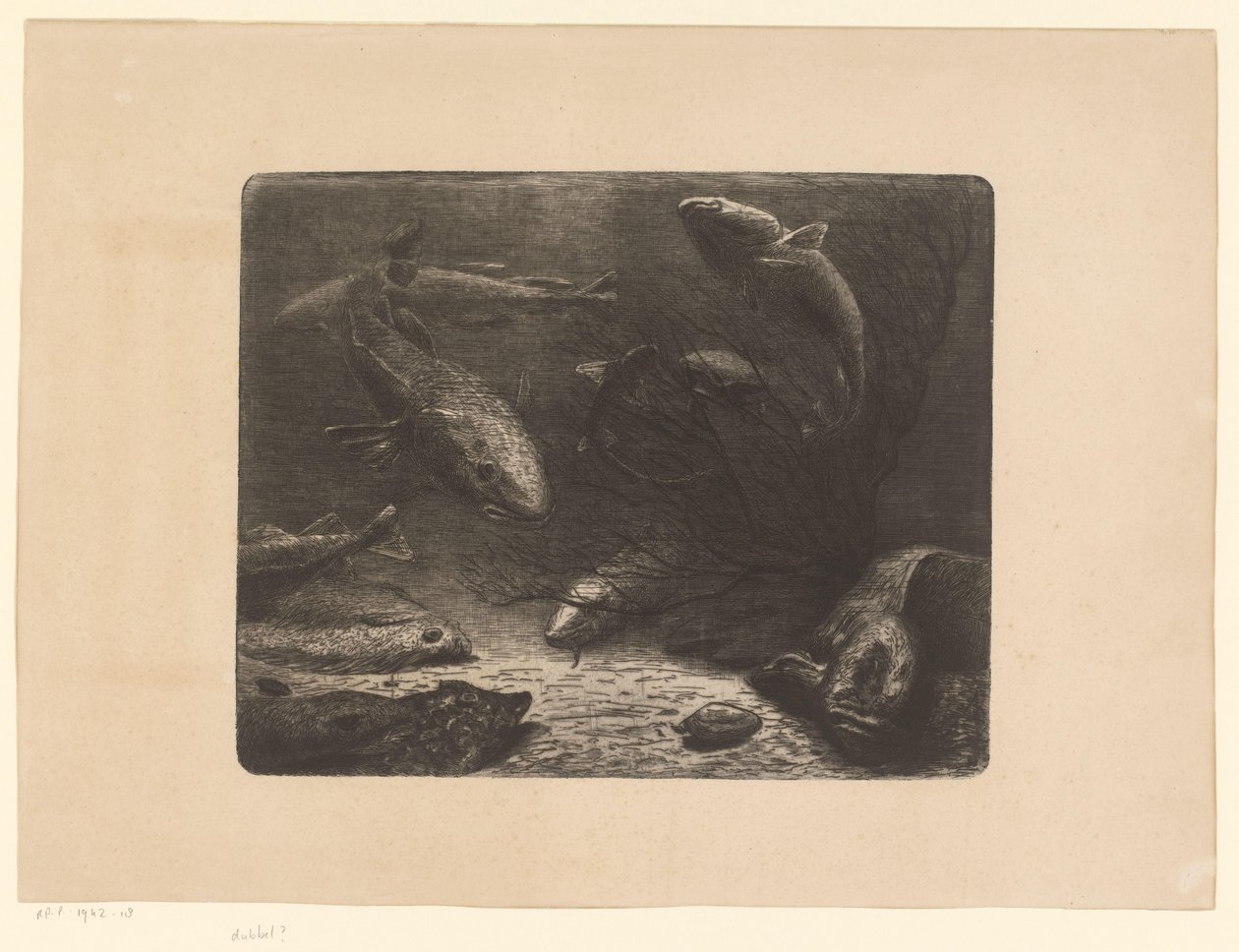 Brochet, raie, plie, crabe, anguille et autres poissons - Anonymous