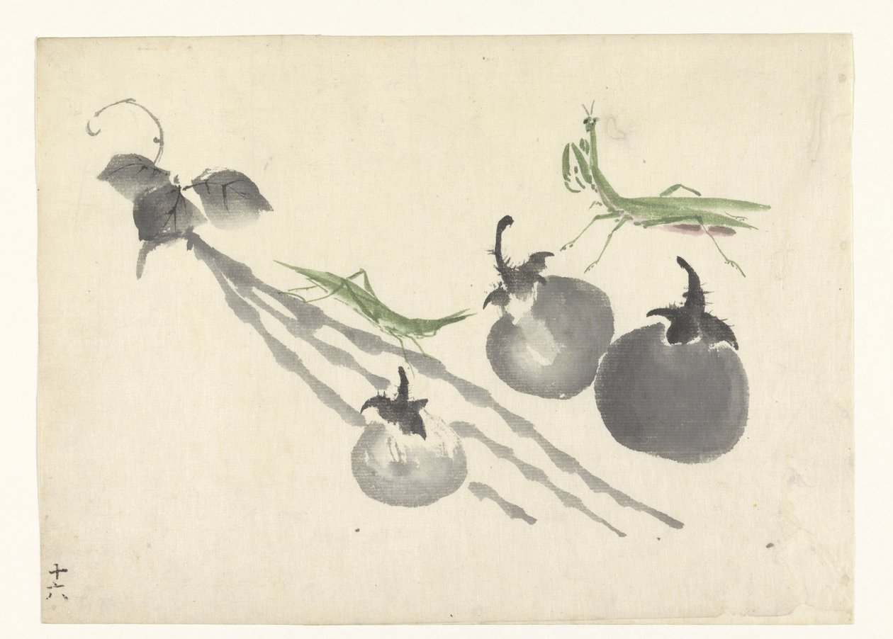 Sauterelles près de trois kakis - Anonymous