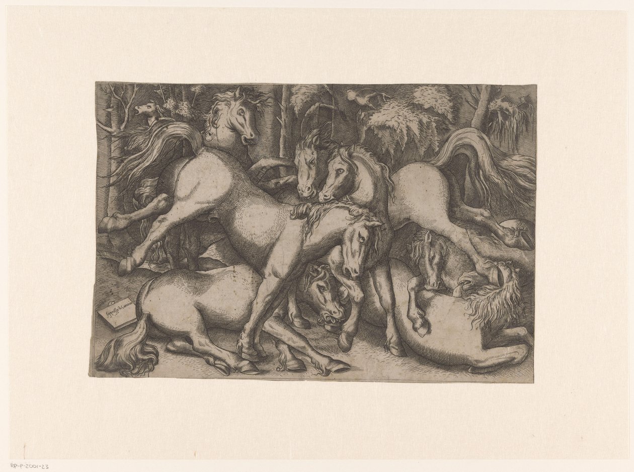 Chevaux combattants - Anonymous