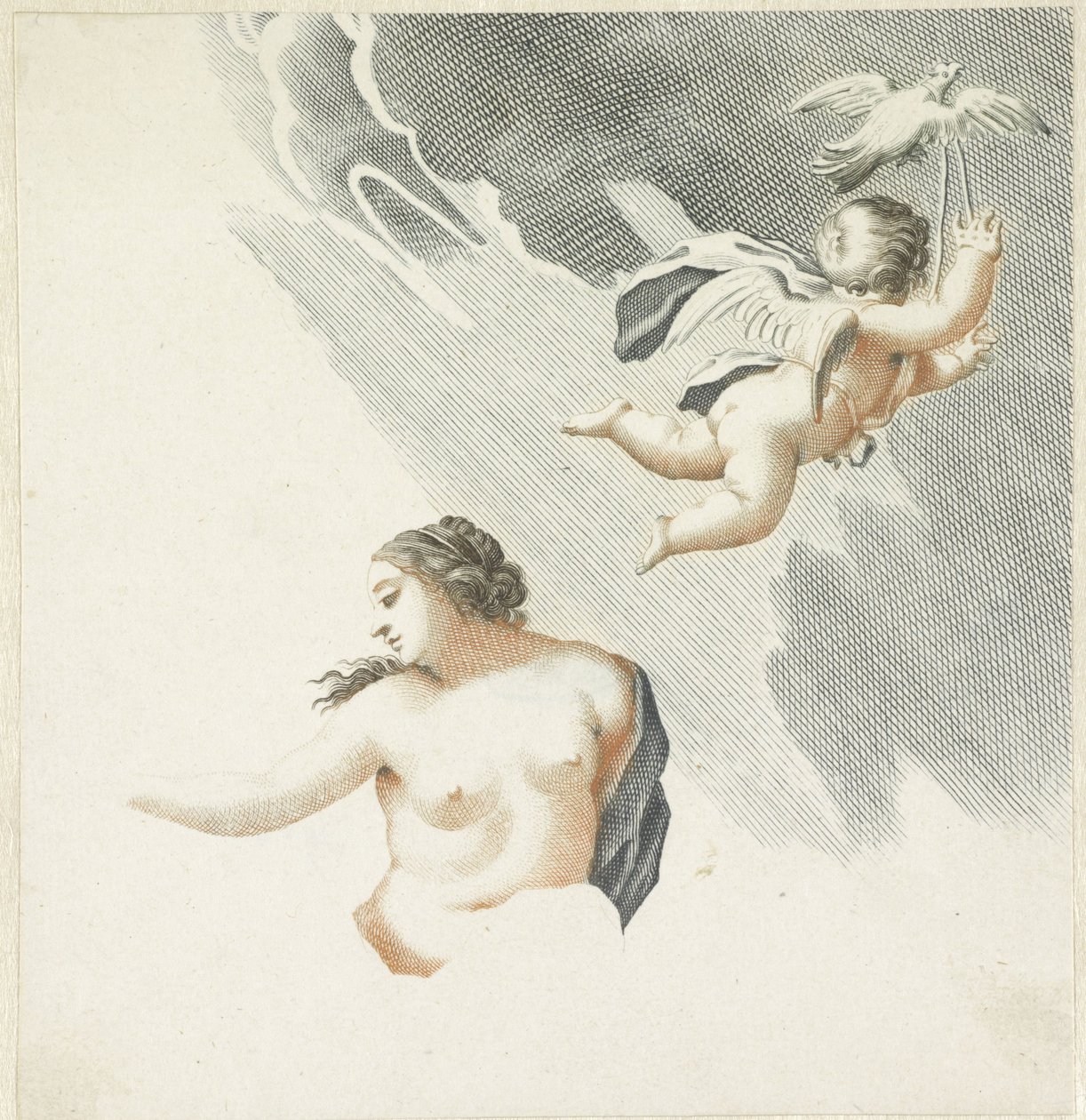 Vénus et Amour - Anonymous