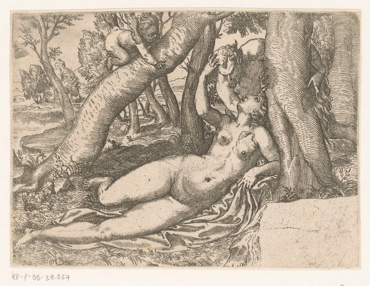 Vénus réveillée par un satyre - Anonymous