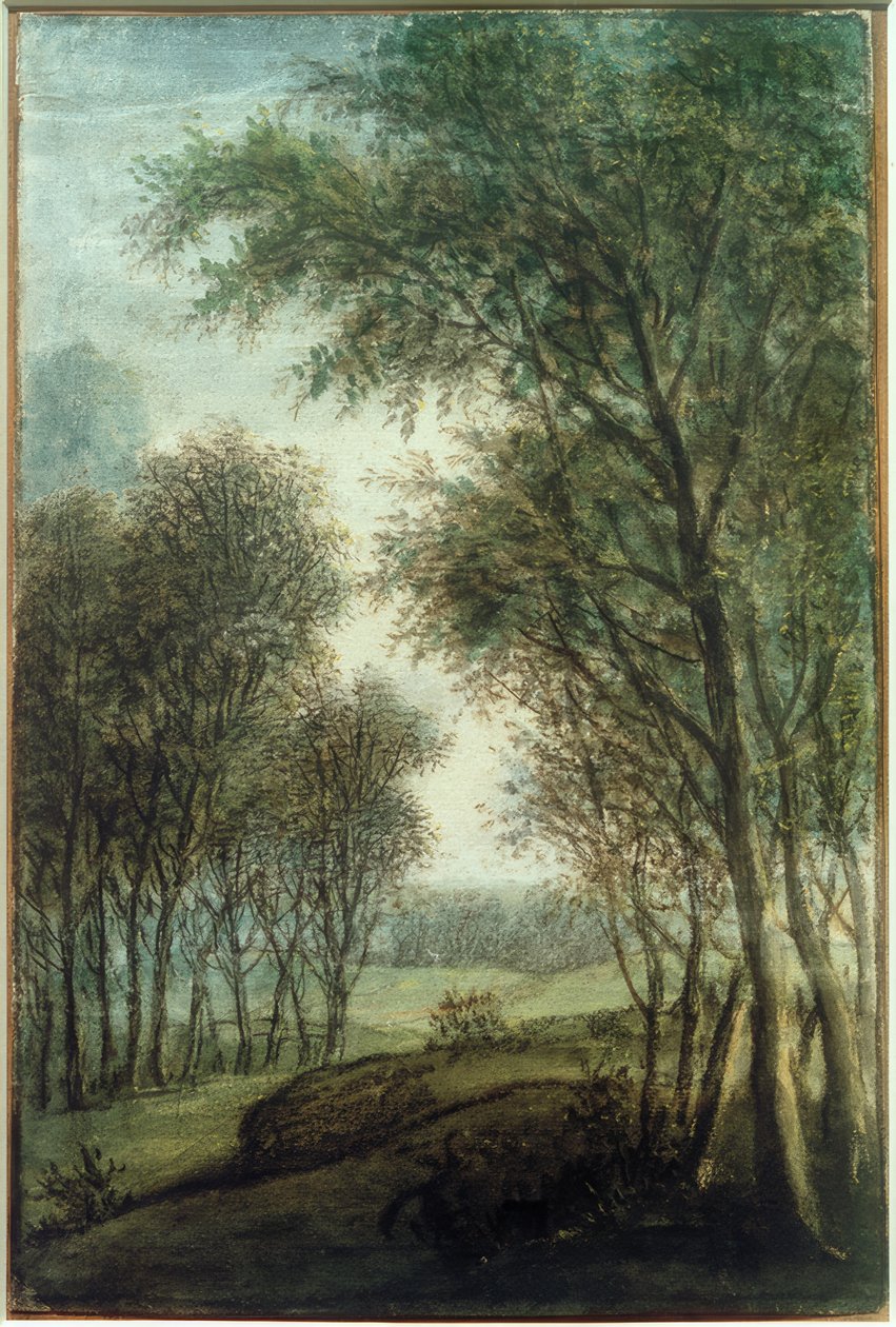 Lisière de forêt - Anthonie Waterloo