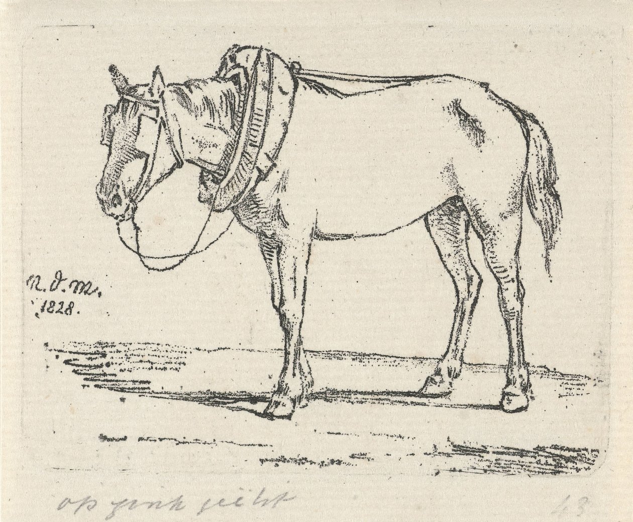 Cheval harnaché - Anthonie Willem Hendrik Nolthenius de Man