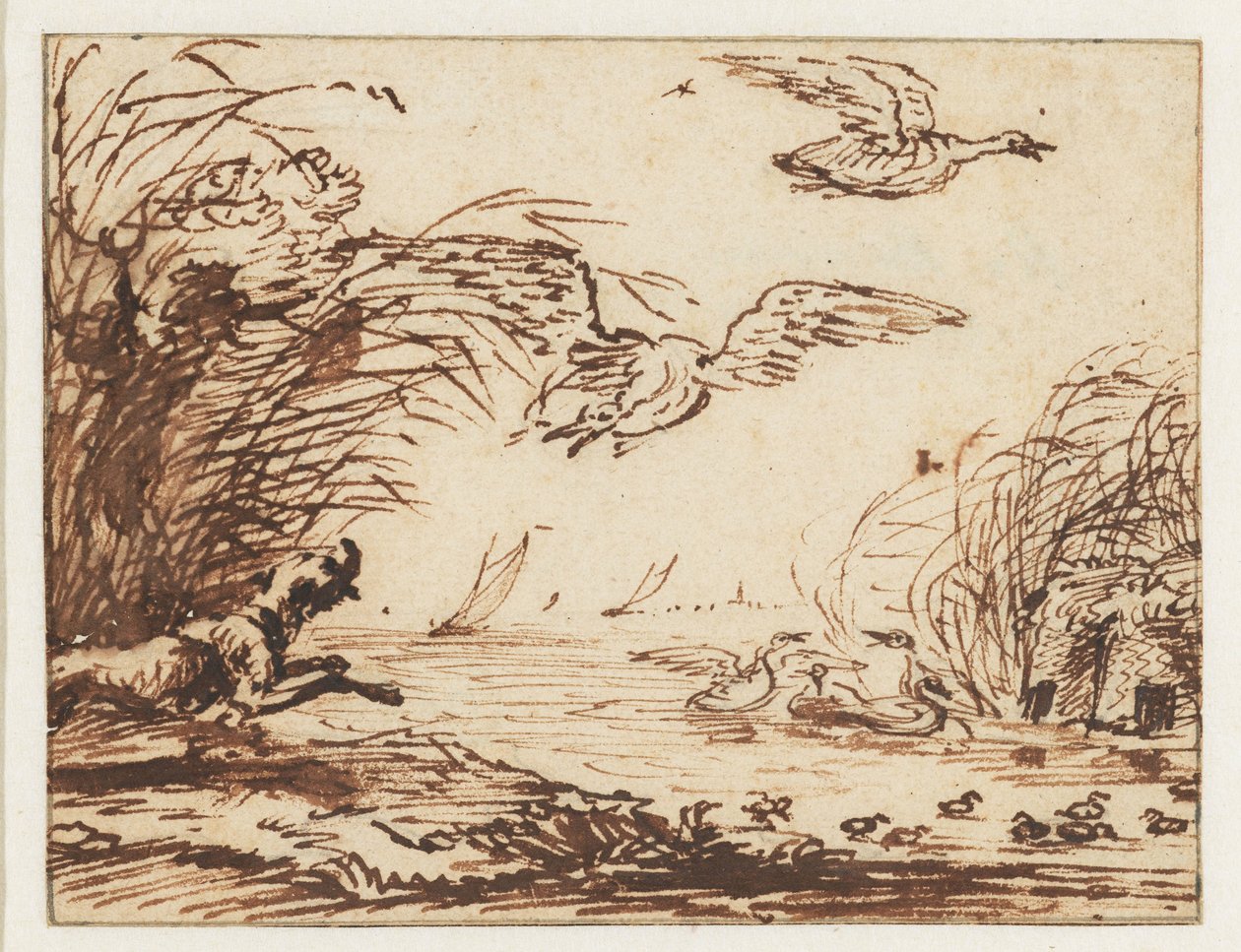 Chien à la chasse aux canards - Anthonie van Borssom