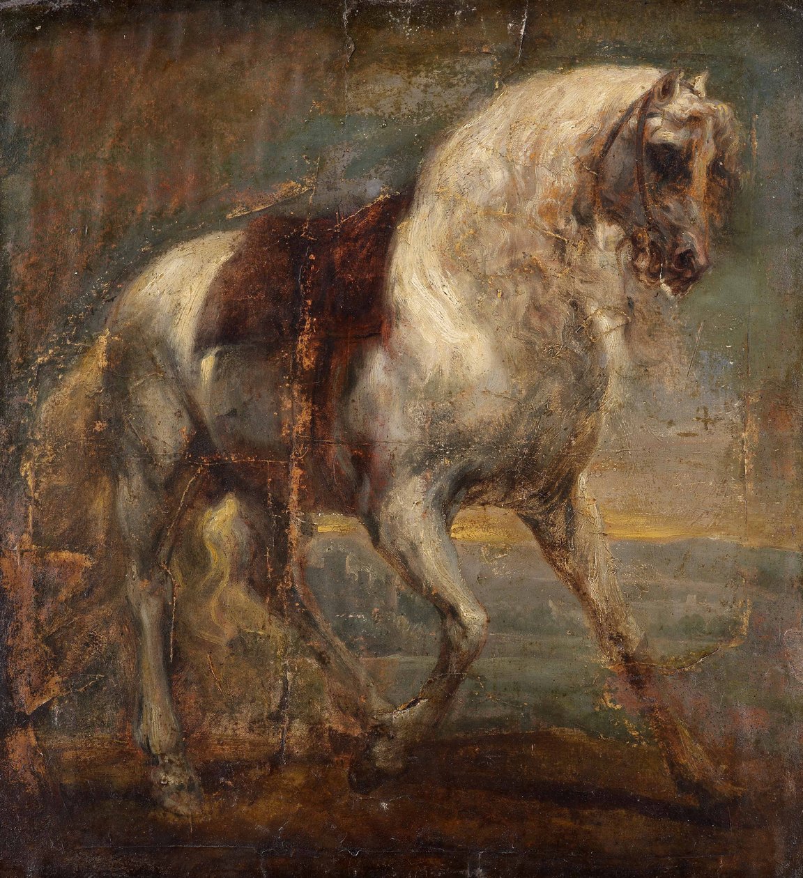 Un cheval gris - Anthony van Dyck