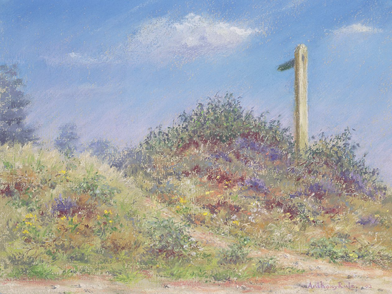 Sentier public, 2002 - Anthony Rule