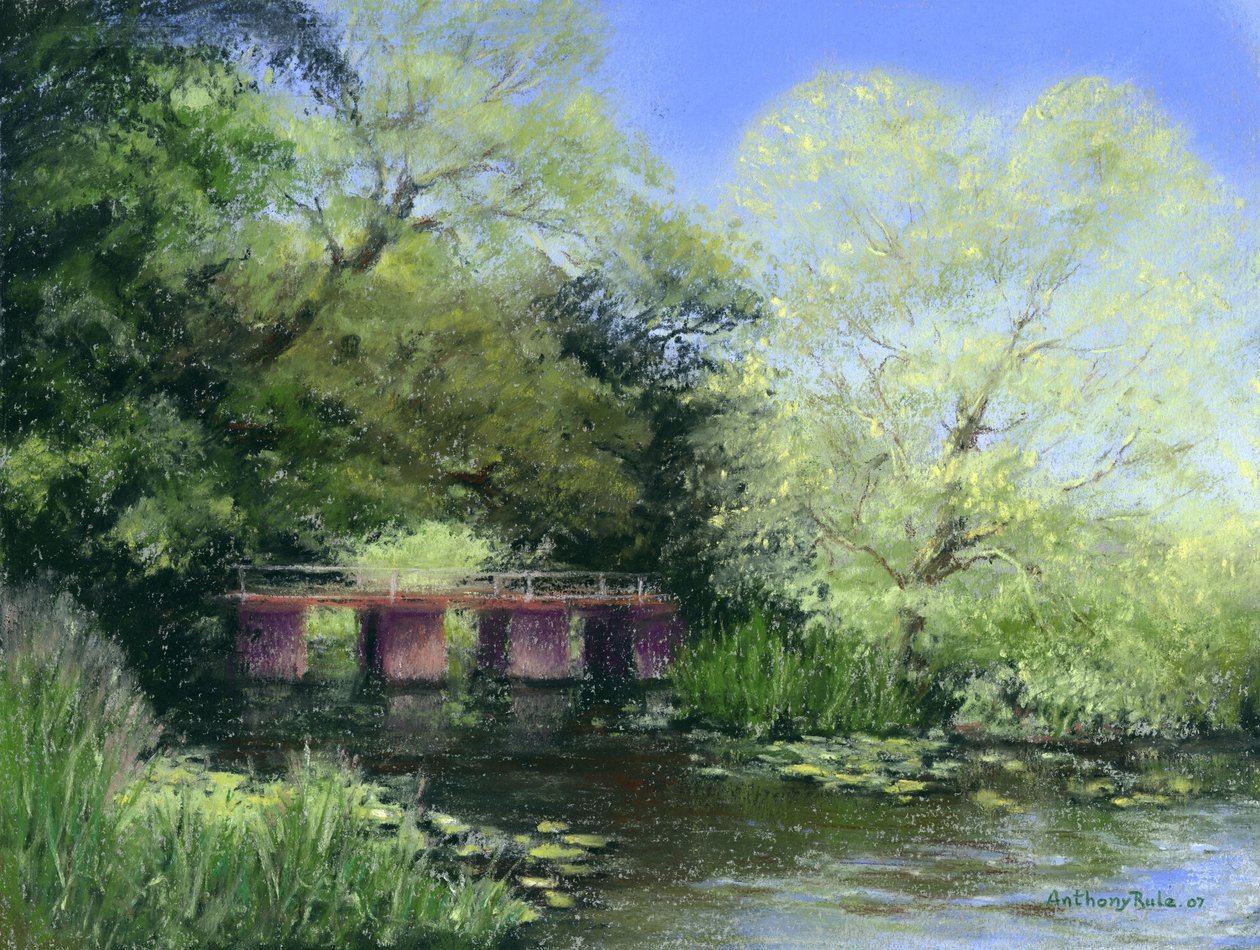 Culvert tranquille - Anthony Rule