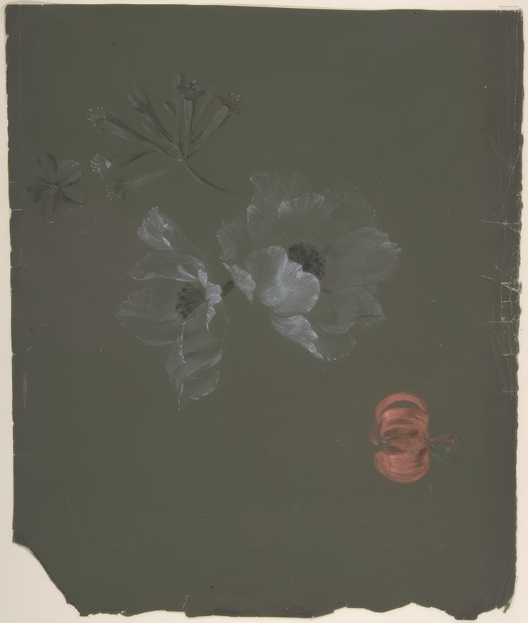 Design floral - Antoine Berjon