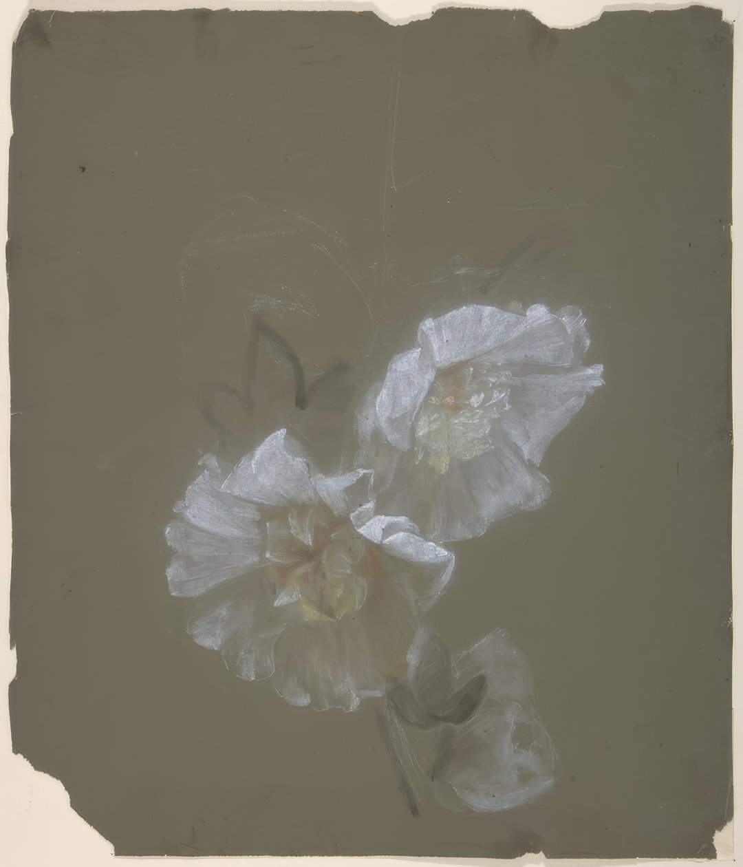 Motif floral - Antoine Berjon