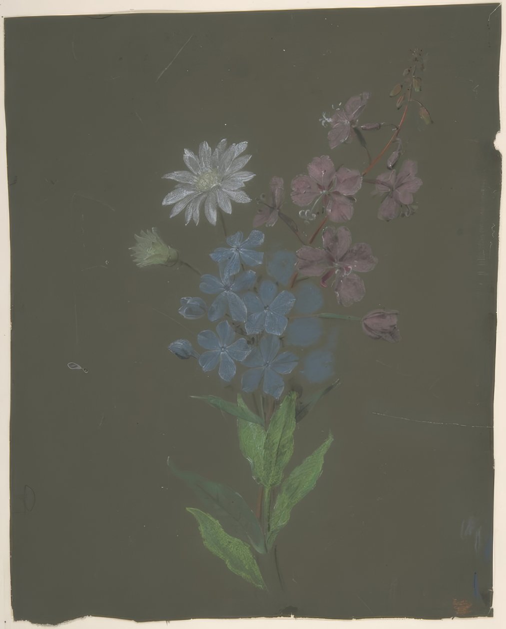 Motif floral - Antoine Berjon