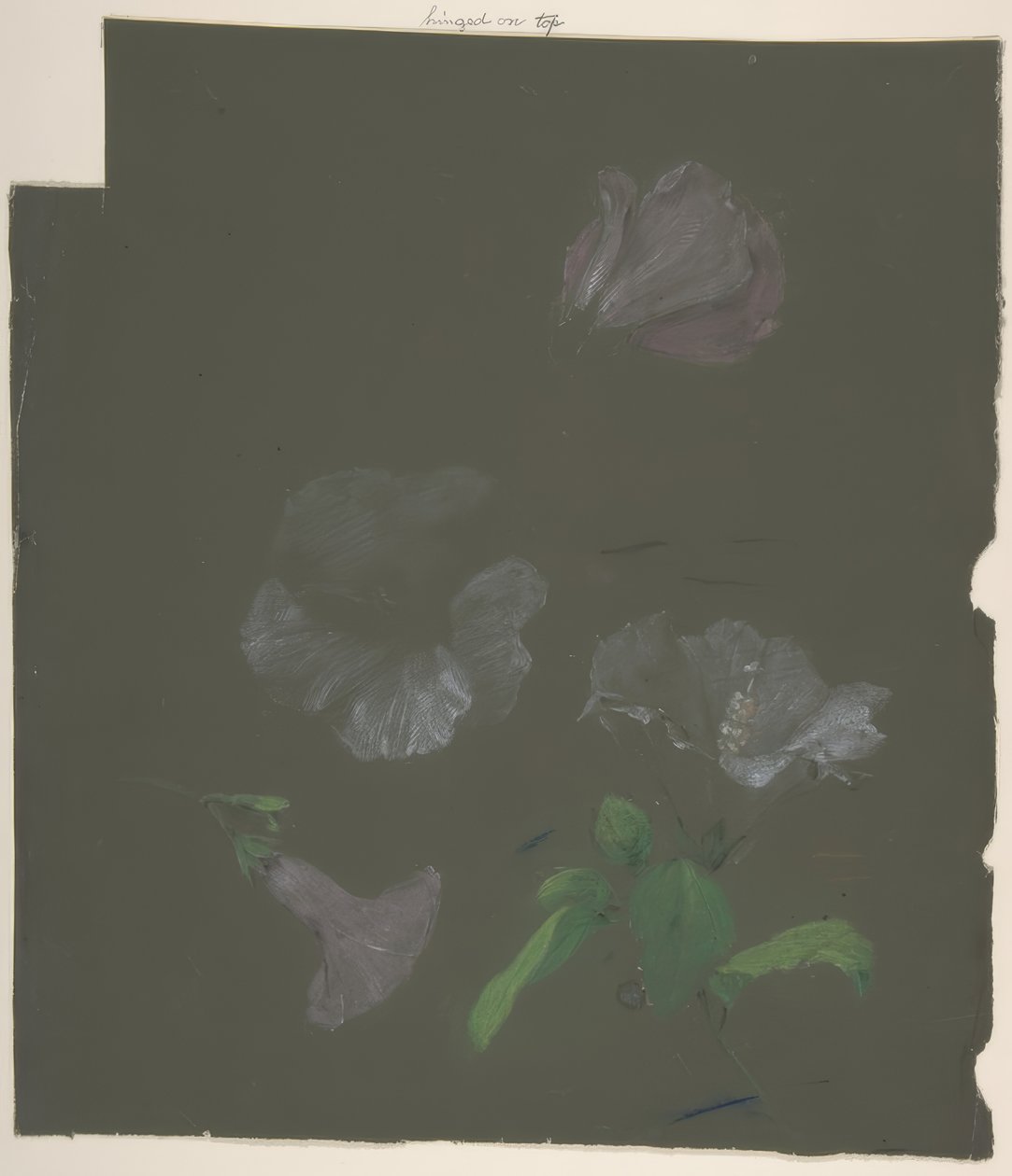 Motif Floral - Antoine Berjon