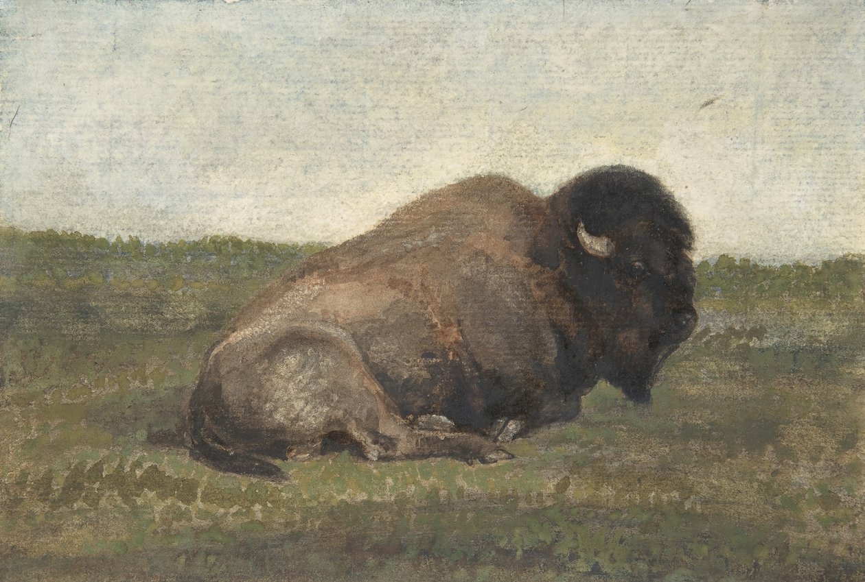 Bison couché, 1810-75 - Antoine Louis Barye