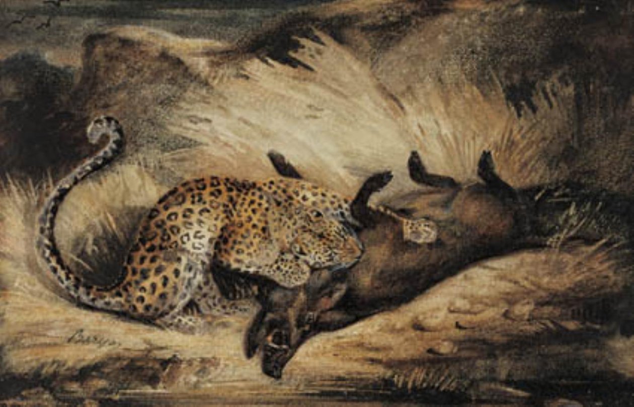 Léopard mangeant un sanglier - Antoine Louis Barye