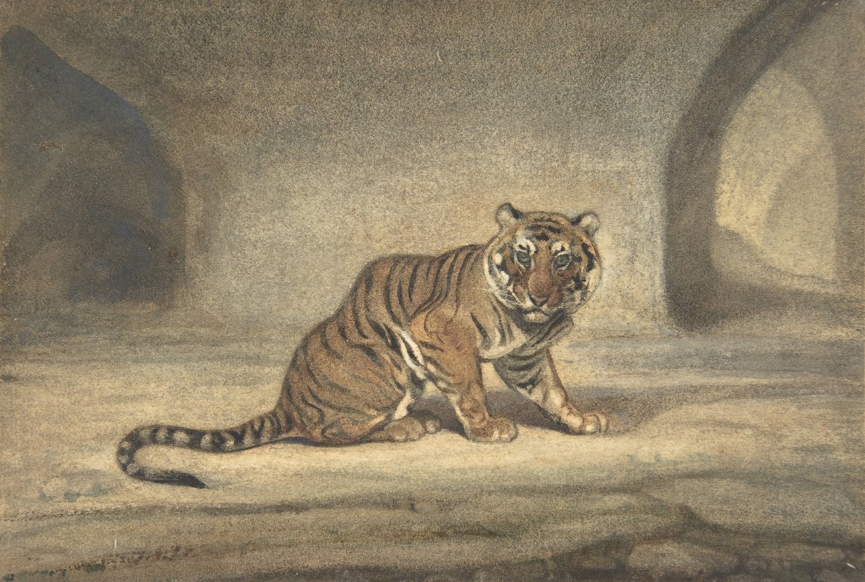 Tigre, 1810-1875 - Antoine Louis Barye