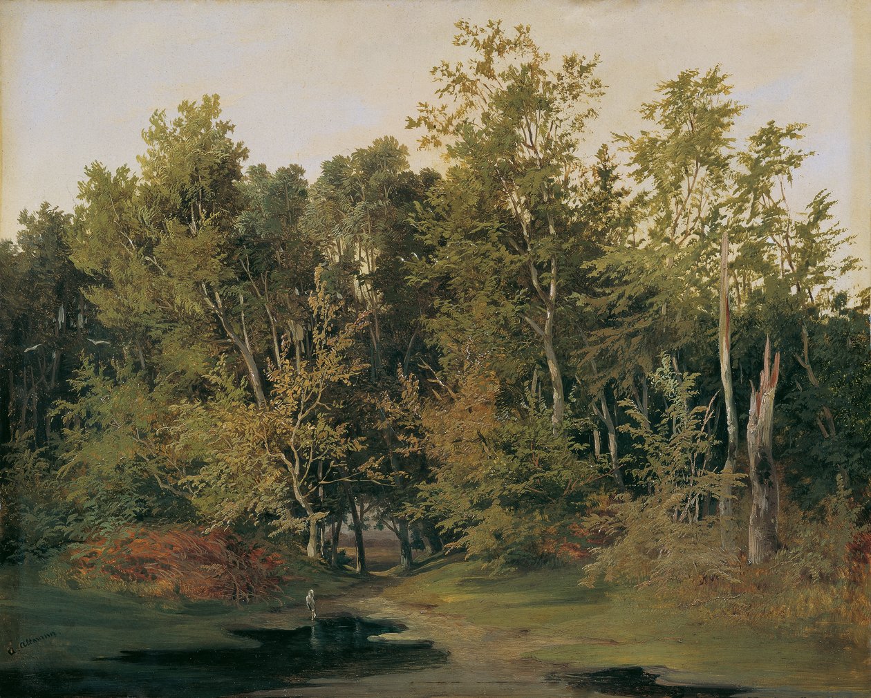 Paysage forestier en Basse-Autriche - Anton Altmann d. J.