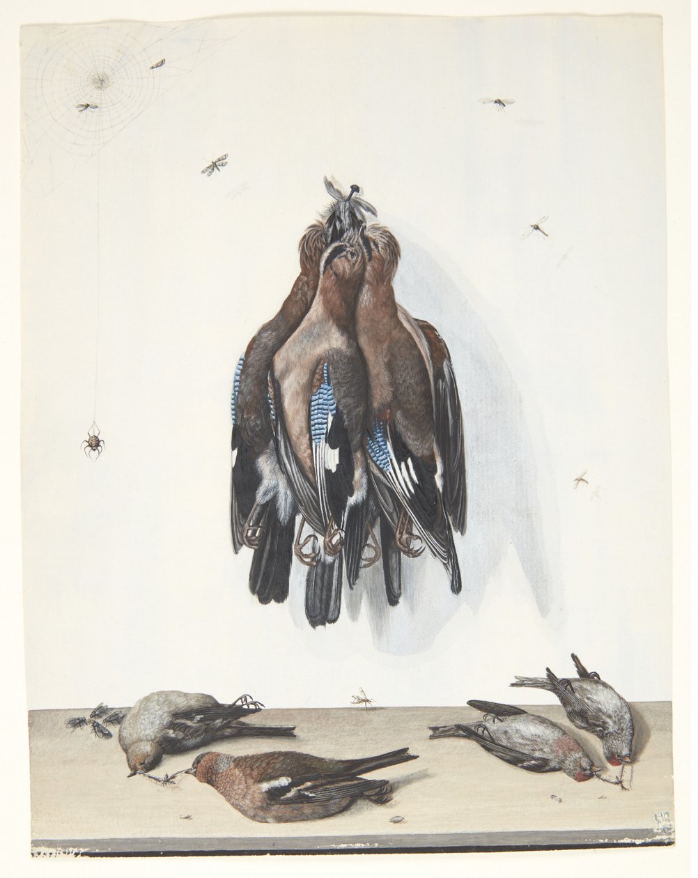 Nature morte avec oiseaux - Anton Ignaz Hamilton