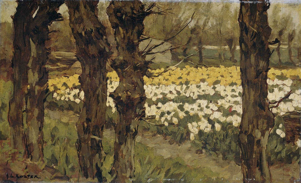 Champs de tulipes - Anton L. Koster