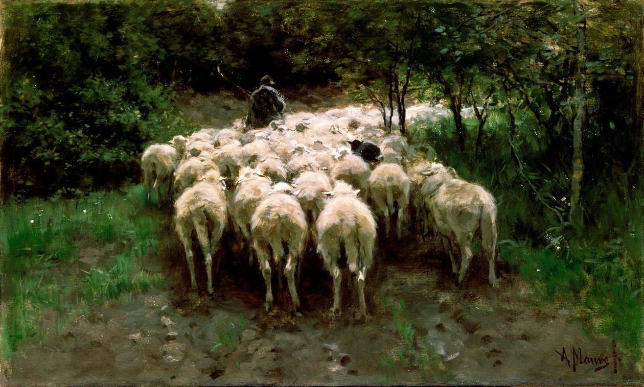 Moutons dans la forêt, XIXe siècle - Anton Mauve