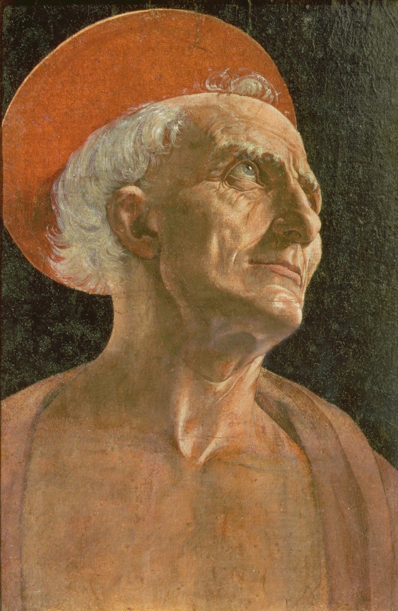 Saint Jérôme - Antonio Pollaiuolo