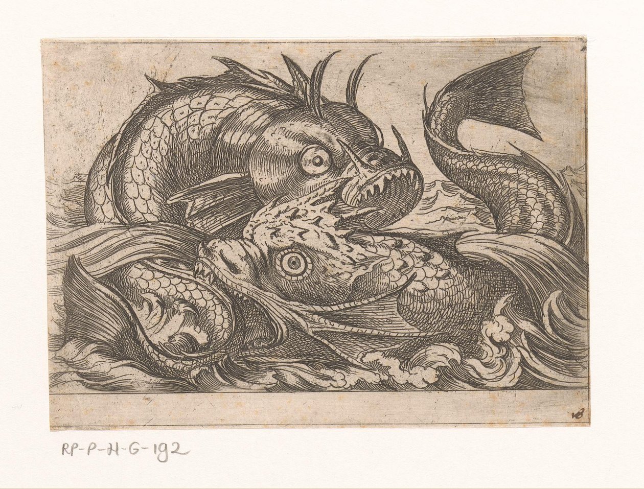 Deux poissons combattants - Antonio Tempesta