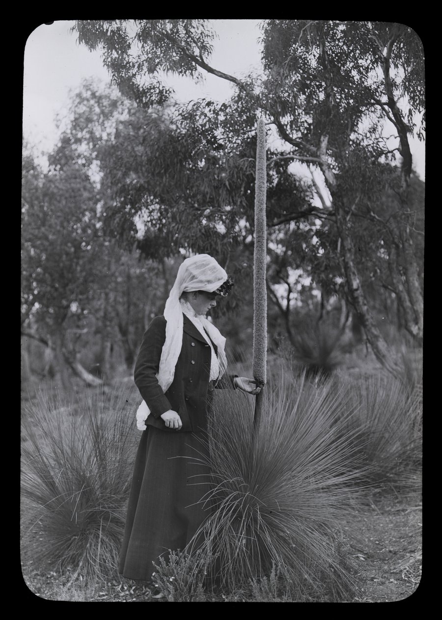 Amy et Xanthorrhoea - Archibald James Campbell