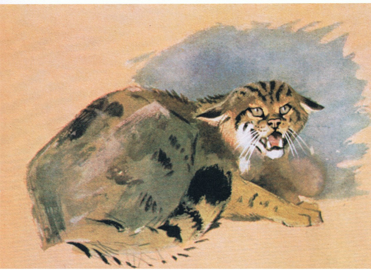 Chat sauvage, pub. par Book Club Associates, 1972 - Archibald Thorburn