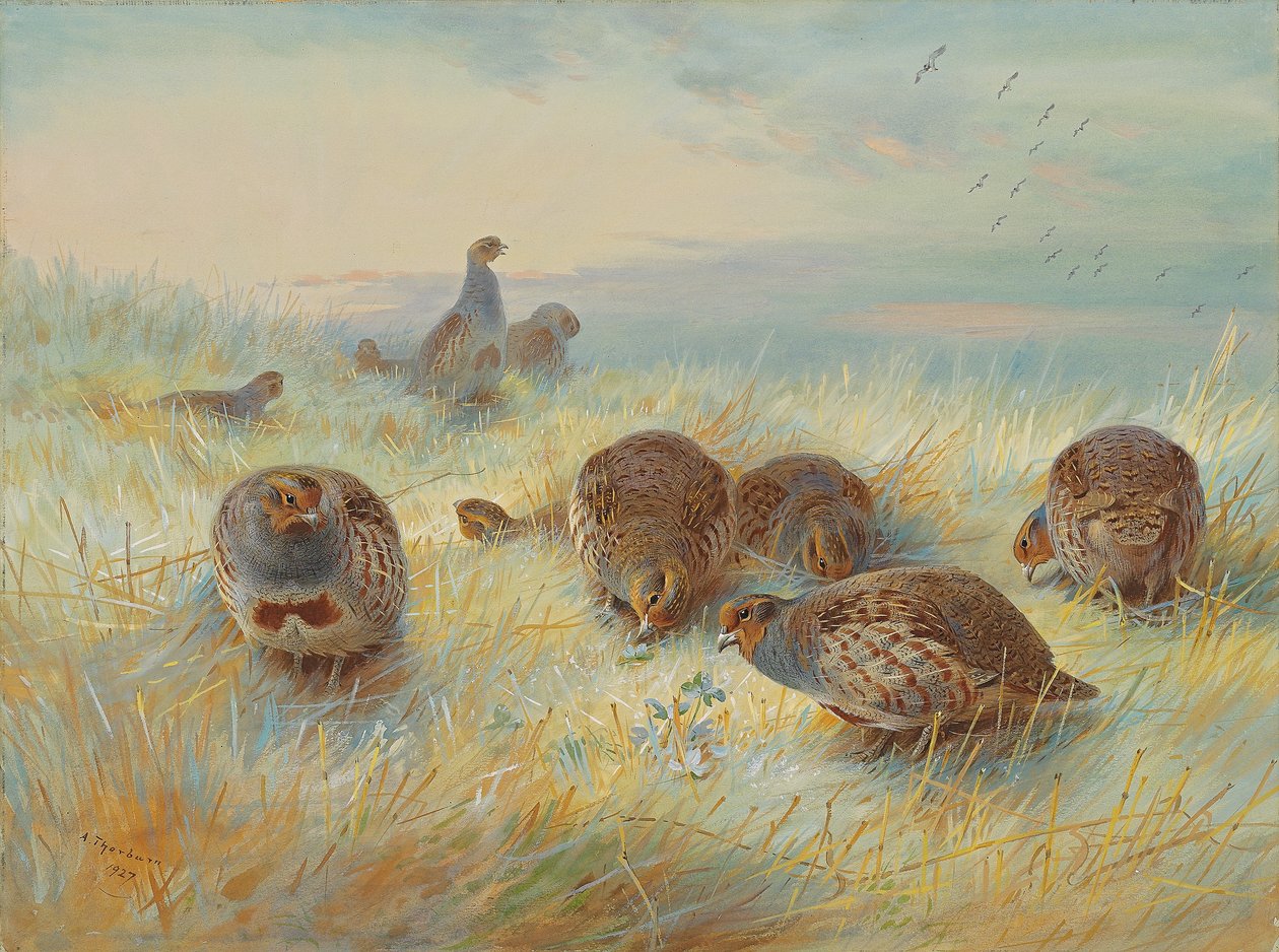 Aube glaciale - Archibald Thorburn