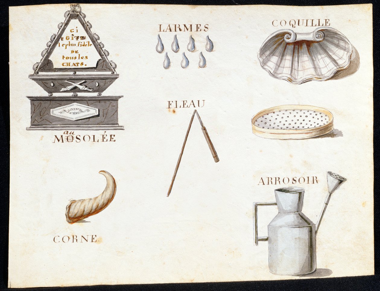 Illustrations du 