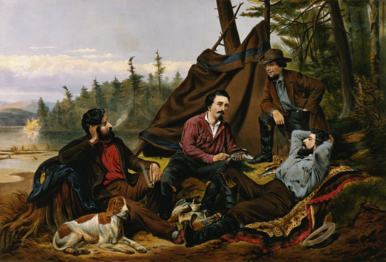 Camping dans les bois, 