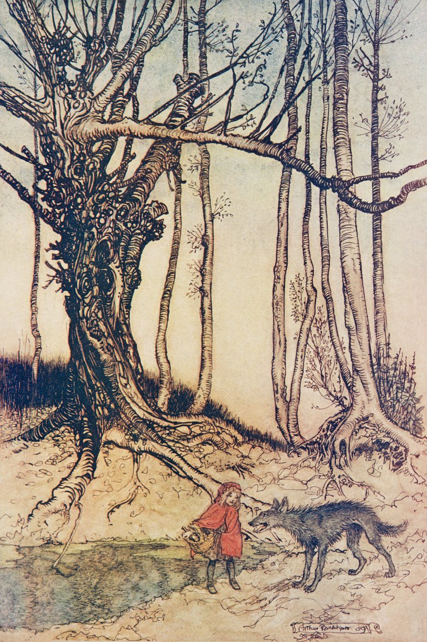 Quand elle arriva dans le bois, elle rencontra un loup .. , des Contes de fées des frères Grimm, pub. 1909 - Arthur Rackham