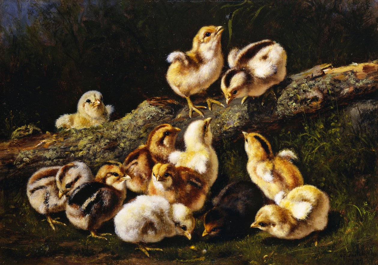 Petits Animaux, 1899 - Arthur Fitzwilliam Tait