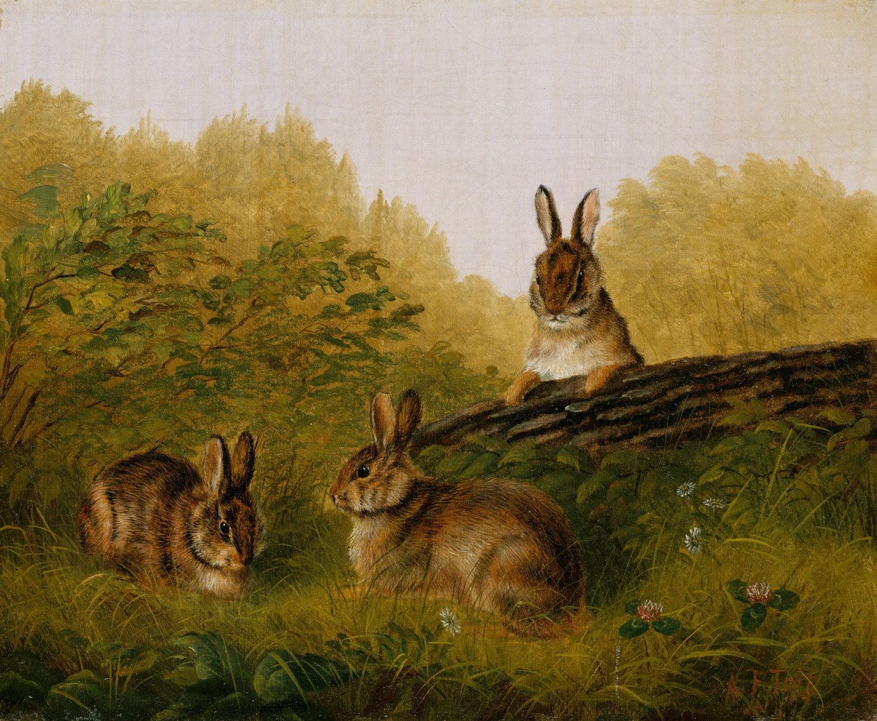 Lapins sur une bûche, 1897 - Arthur Fitzwilliam Tait