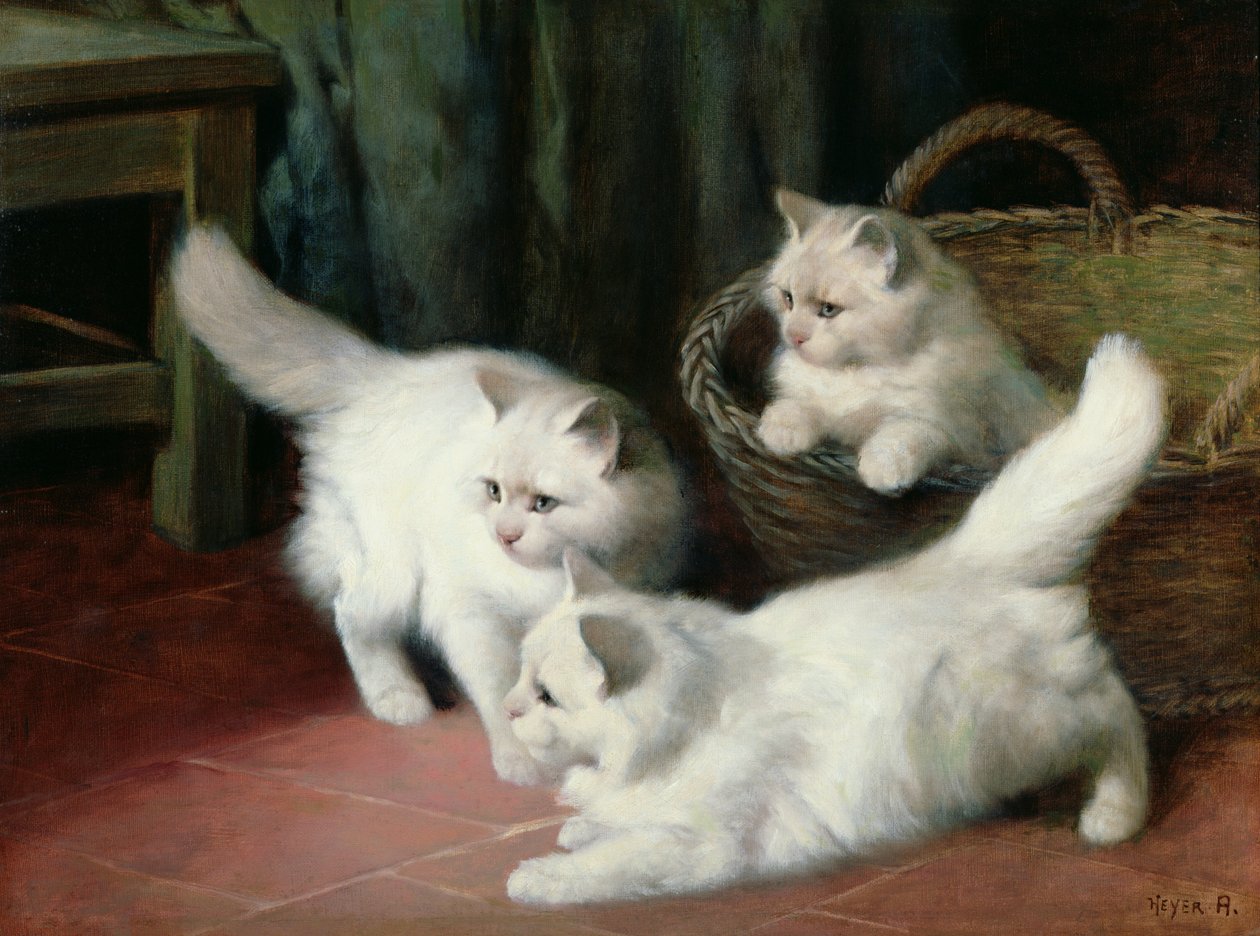 Trois Chatons Angora Blancs - Arthur Heyer