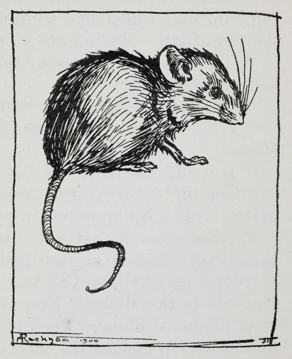 Une souris - Arthur Rackham