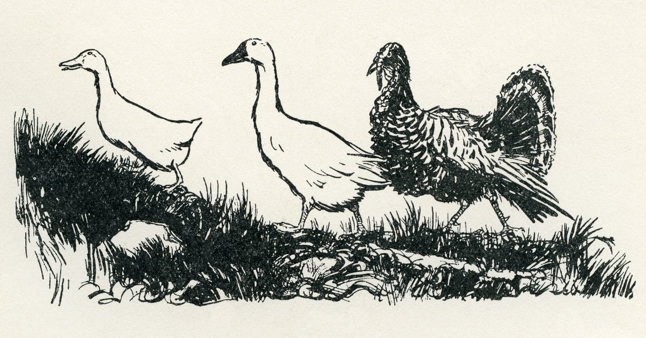 Henny-Penny - Arthur Rackham