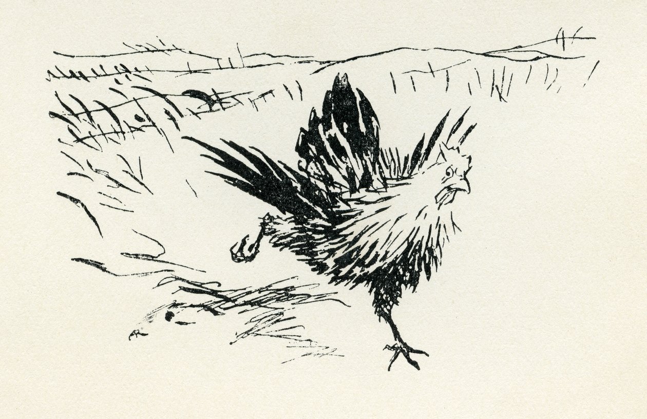 Henny-Penny - Arthur Rackham