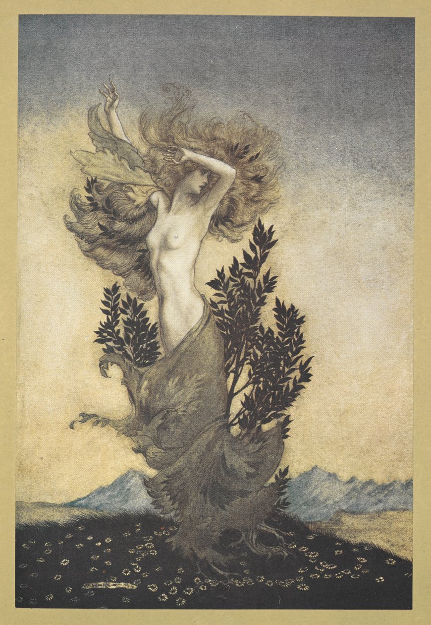 ... comme Daphné, enracinée, qui fuyait Apollon - Arthur Rackham