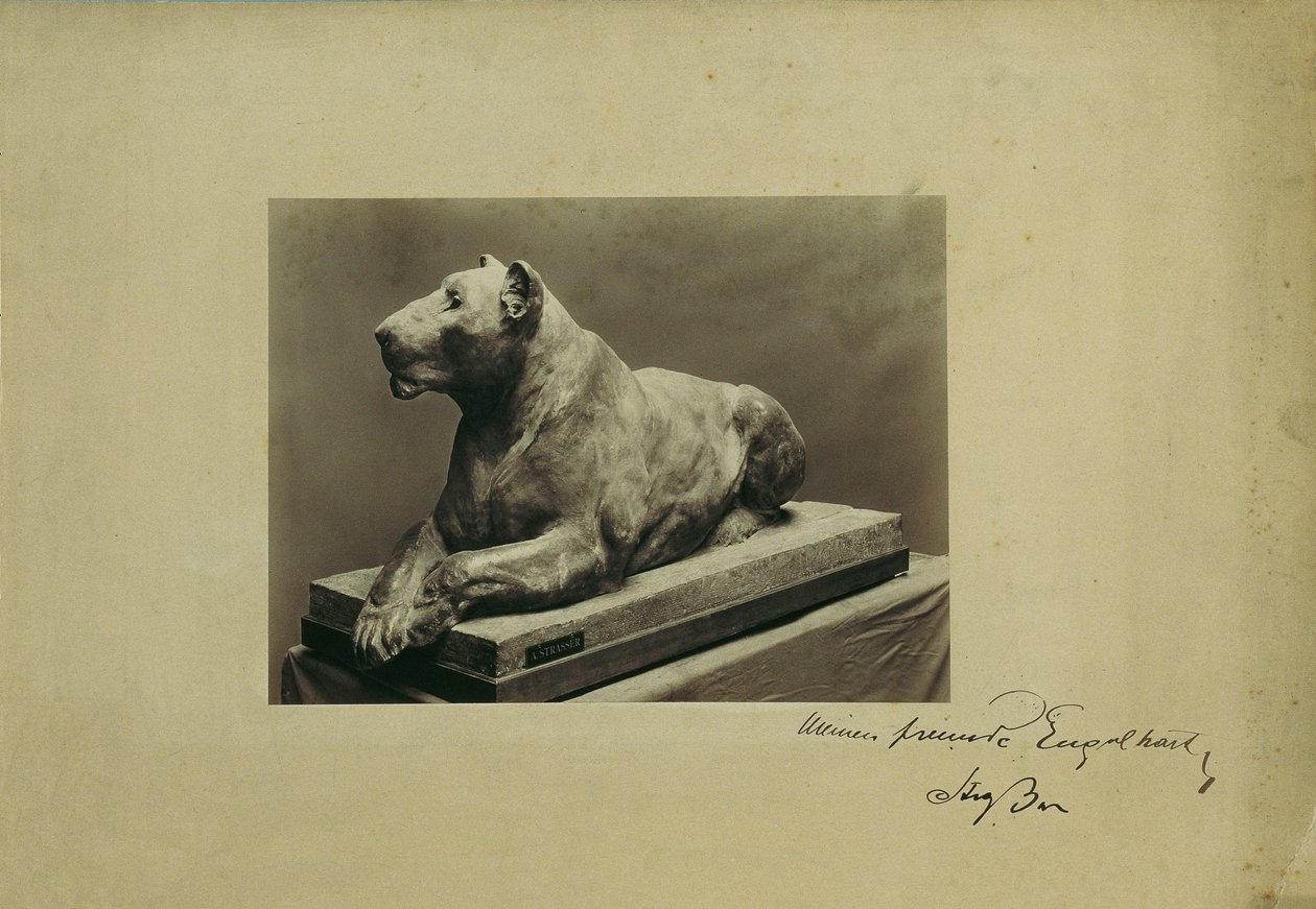 Lionne - Arthur Strasser
