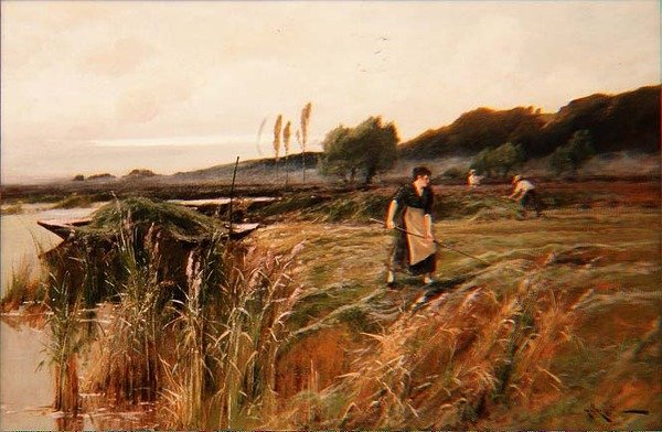Récolte d