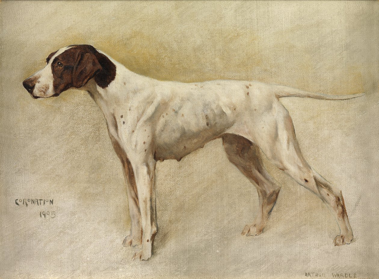 Couronnement - Arthur Wardle