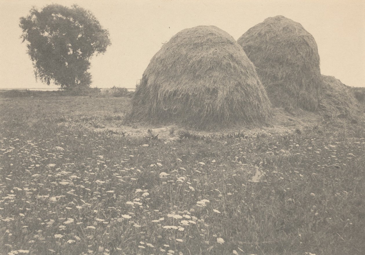 Les meules de foin, Ipswich, c. 1894 (photo) - Arthur Wesley Dow