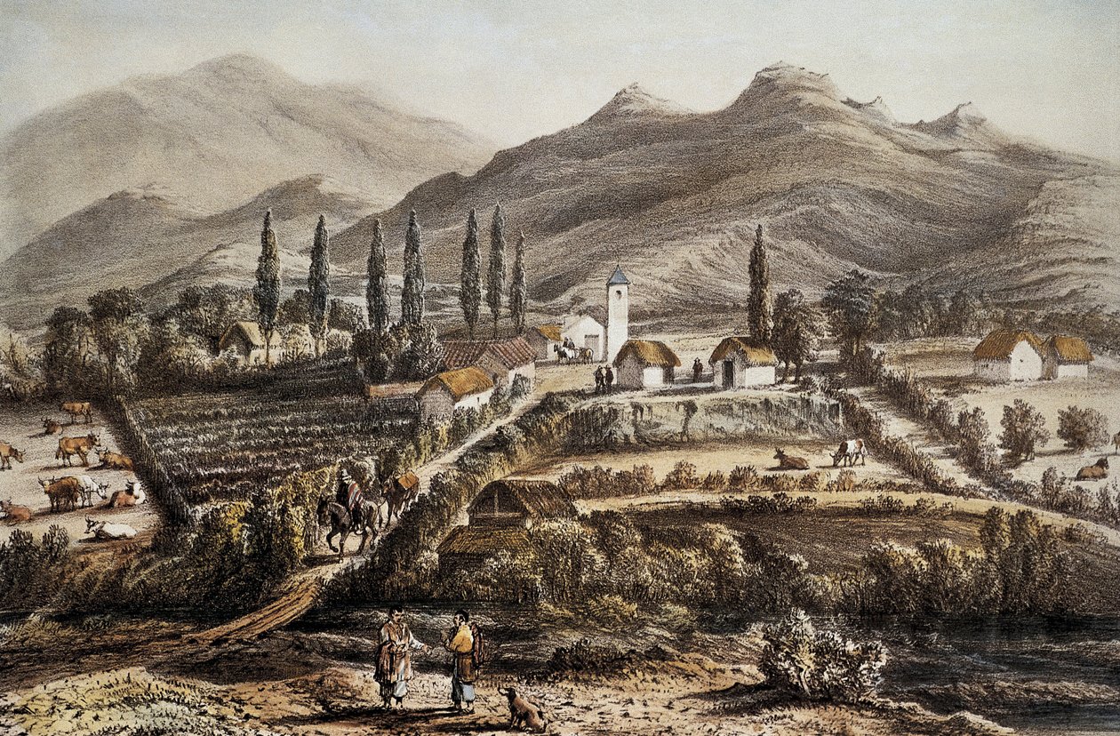 Chili (1837). Cogoti - Artist Unknown