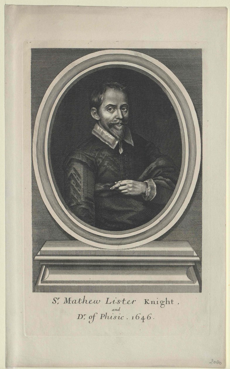 Liste de Matthew (en caractères d