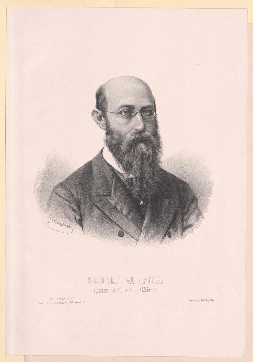 Rudolf Auspitz - Artist Unknown
