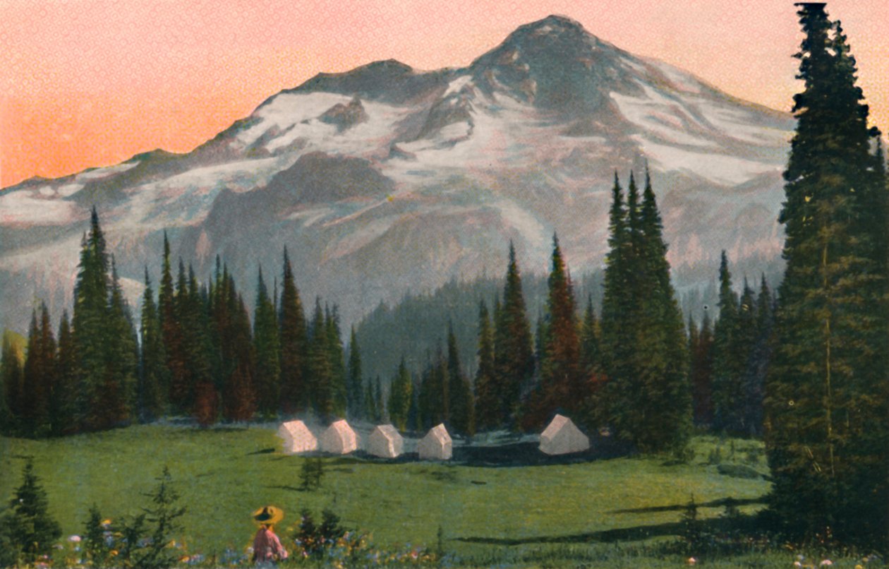 Mont Rainier depuis Indian Henrys, vers 1916 - Asahel Curtis