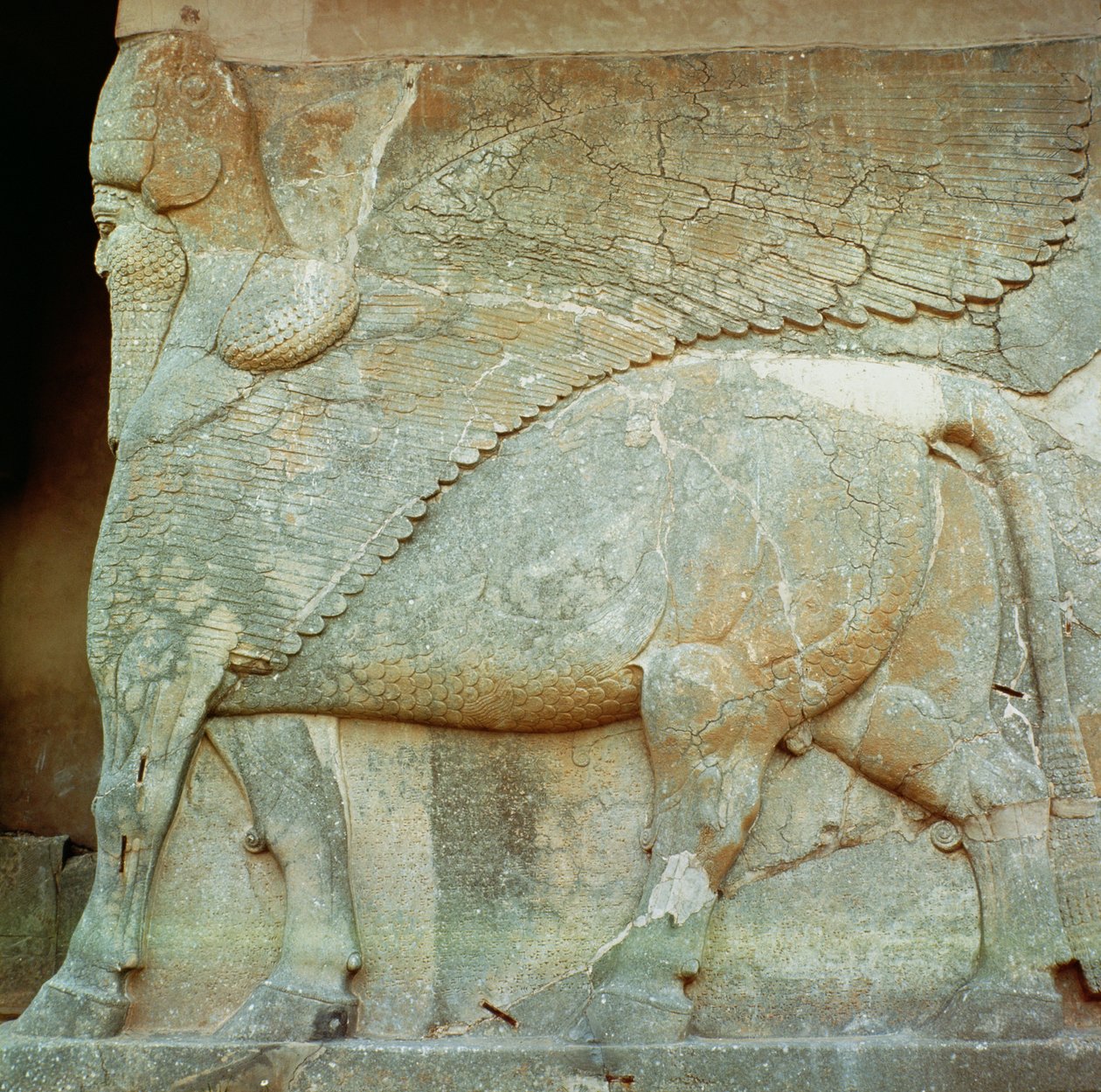 Bas-relief d