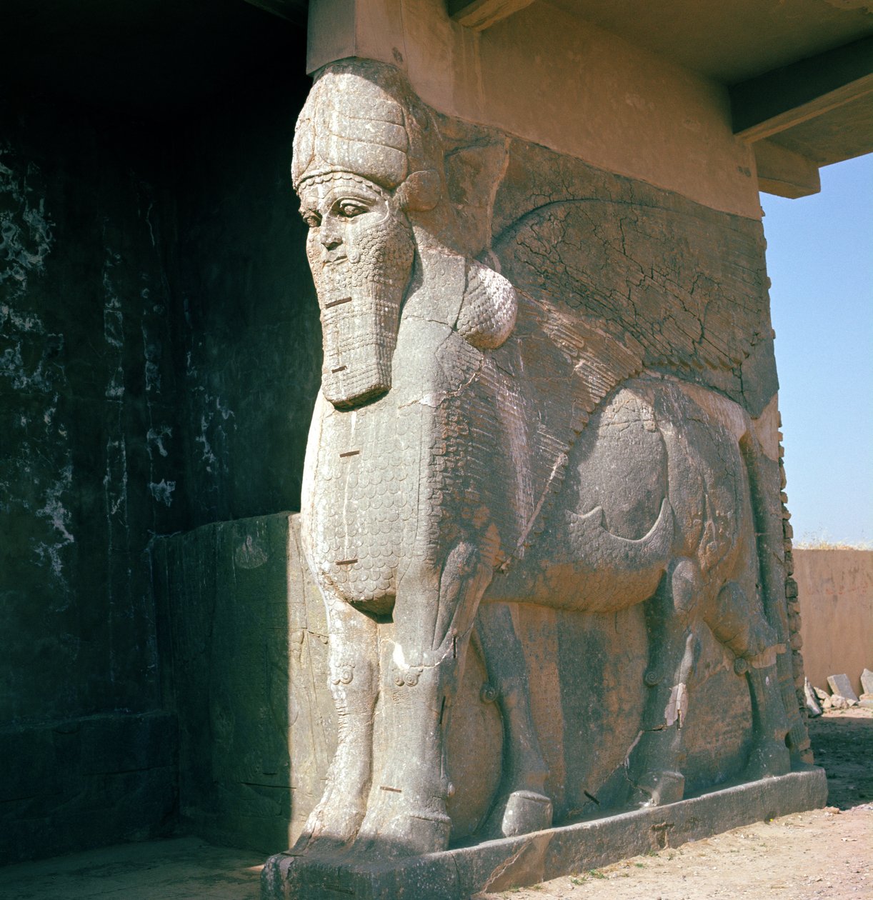 Taureau ailé à tête humaine, période néo-assyrienne, règne d